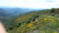 Col des Langoustines