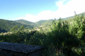 Col du Buisson