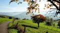 Col du Chamont