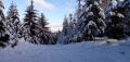 Col du Taurupt