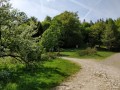 La vallée de Murbach par les cols de Wolfsburge et de Judenhut