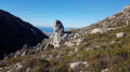 Monts Carpiagne et Saint-Cyr, deux géants marseillais