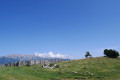Coll de les basses de Fabert.