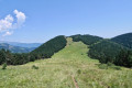 Coll de Siern