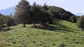 Colla di Carnino