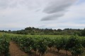 Colline Les Gardies