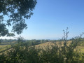 Colline