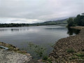 Comb Reservoir Circular