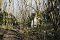 combe à la Biche