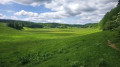 Combe danoi