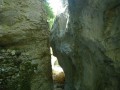 La Combe de Curnier