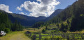 Combe de Narreyroux