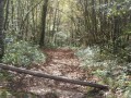 Combe de St Fol