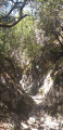 Combe de Vaumale