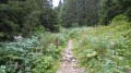 Combe Oursière
