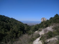 Combe