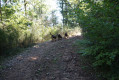 Compagnons de route !