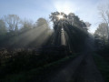 Du Bois de Fonteny au Haut de Grémaux