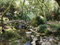 Confluence du Bruguet