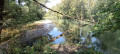 Confluence Thur - Ill
