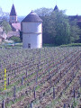 Conical tower