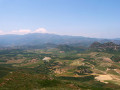 Conque viticole