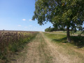 Contre allée parallèle à la route