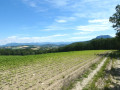 Contreforts du Vercors