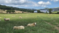 Conwy Estuary