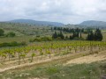 Corbières ou Toscane..... ?