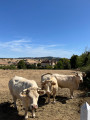 Corcheval