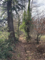 Corridor de verdure entre 2 prairies