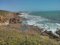 C&ocirc;te rocheuse