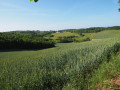 Côté vallons