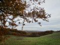 Coteaux de Bondigoux