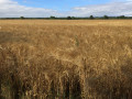 Coteaux de Fresney-le-Puceux Coteaux de Fresney-le-Puceux