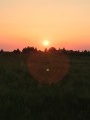 Coucher de soleil dans les vignes.