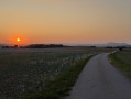 Coucher de soleil sur les champs de Mazirot