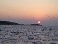 Balade dans Porquerolles Balade dans Porquerolles