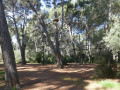 Coudou Park
