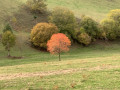 Couleur d'automne