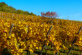 Couleur d'automne