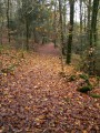 Couleurs d'automne