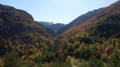 Couleur d'Automne