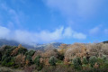 Coll de l'Ullat, Puits à neige et Puig Neulós Coll de l'Ullat, Puits à neige et Puig Neulós