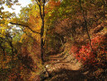Couleurs automnales