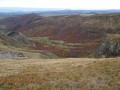 Couleurs d'automne