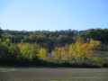 Couleurs d'automne