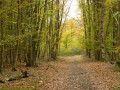 Couleurs d'automne Couleurs d'automne