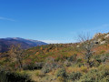 Couleurs d'automne